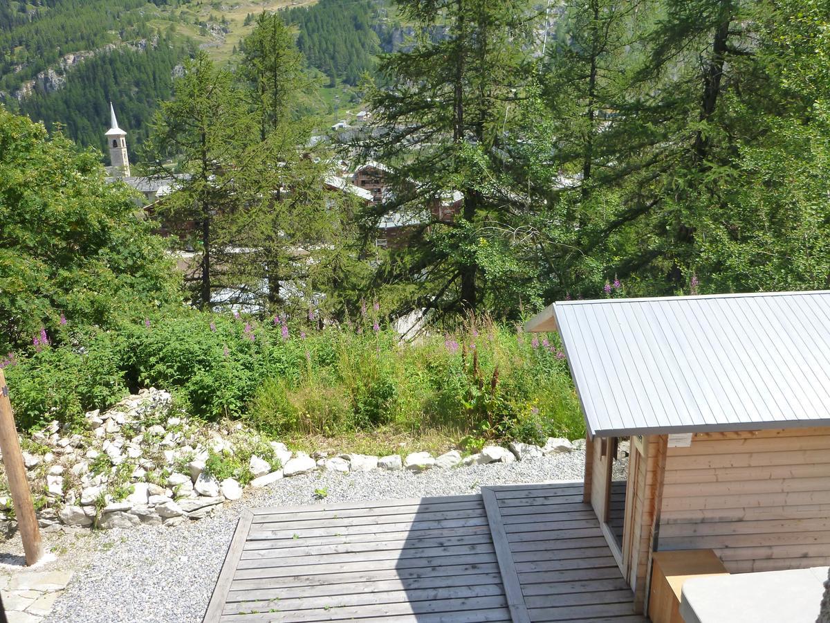 ティニュ Chalet Les Melezes Bed & Breakfast エクステリア 写真